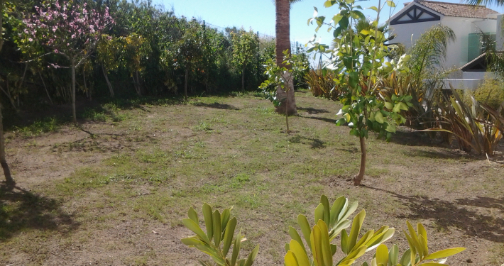 jardineria malaga