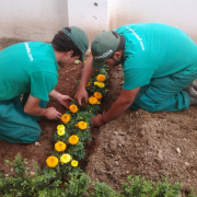 empresa jardineria malaga