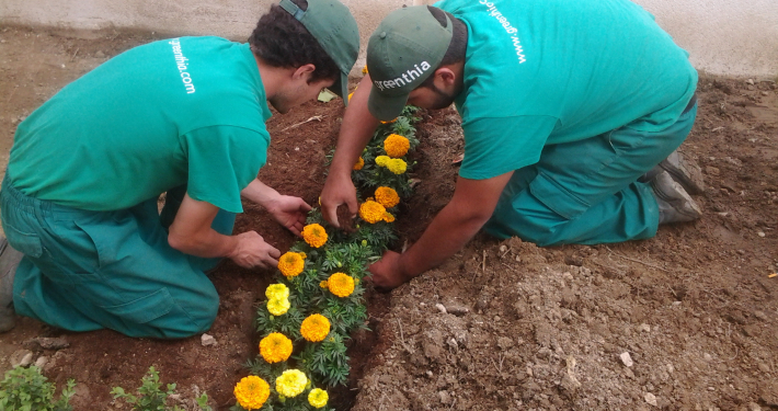 empresa jardineria malaga