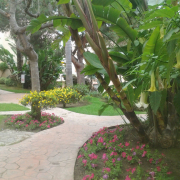 jardineria en marbella