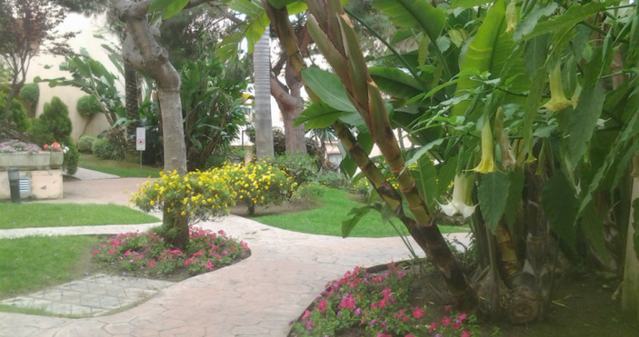 jardineria en marbella