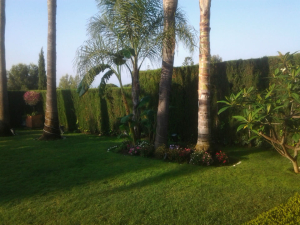 Jardin en Marbella