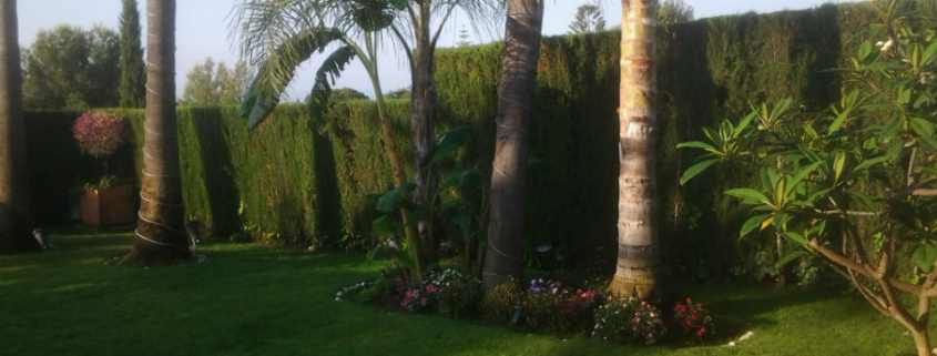 jardineria marbella