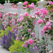 empresa jardineria malaga