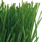 empresa de jardineria malaga