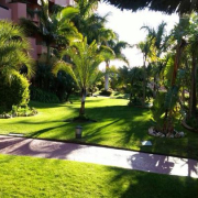 mantenimiento de jardines jardineria malaga