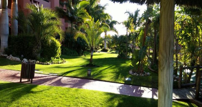 mantenimiento de jardines jardineria malaga