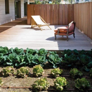 pasos para comenzar con tu huerto