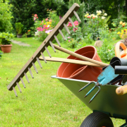 servicios de jardinería profesionales