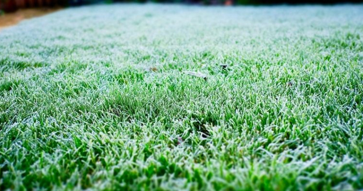 césped en invierno