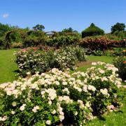 jardines en verano marbella