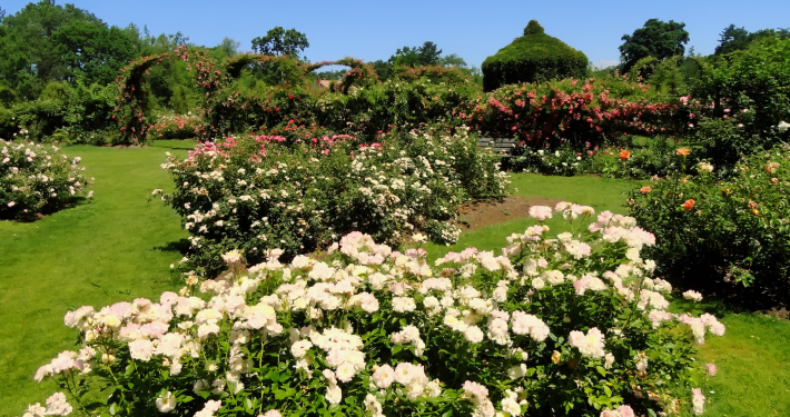 jardines en verano marbella