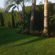 mantenimiento jardines villas marbella