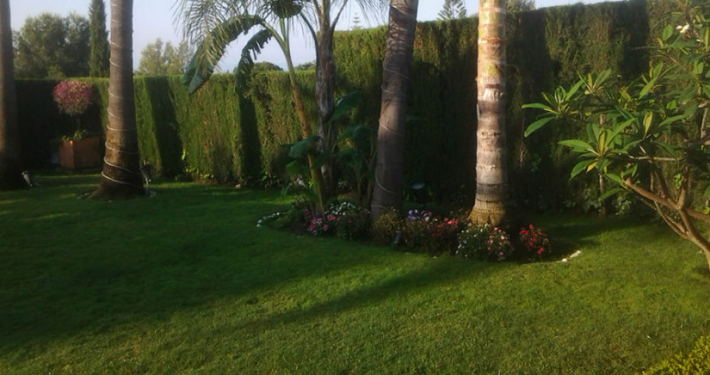 mantenimiento jardines villas marbella