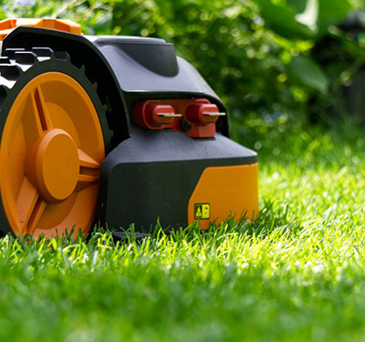 jardinero y mantenimiento profesional marbella