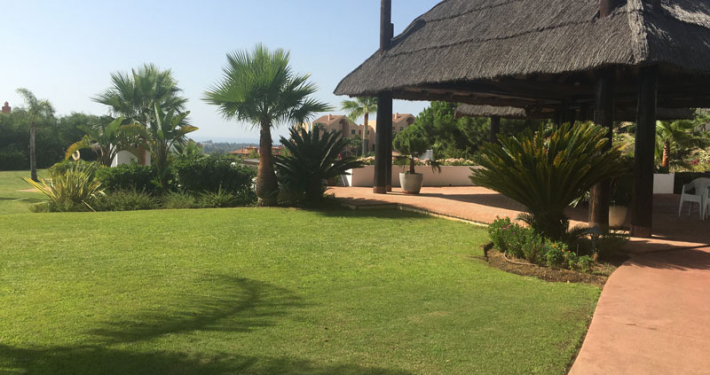 césped y mantenimiento