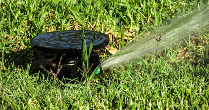 profesional de la jardineria Marbella aspersor