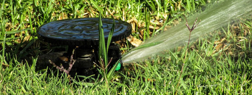 profesional de la jardineria Marbella aspersor