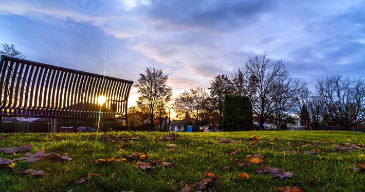 cuidados del jardín en otoño; paisajismo en Málaga
