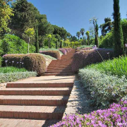 xerojardineria en Málaga y Marbella