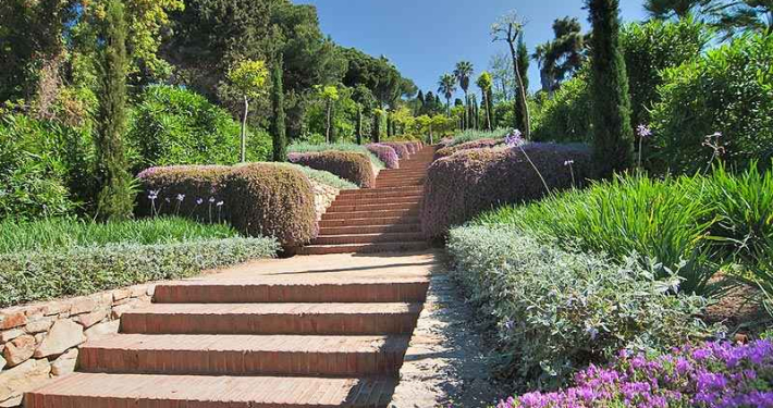 xerojardineria en Málaga y Marbella