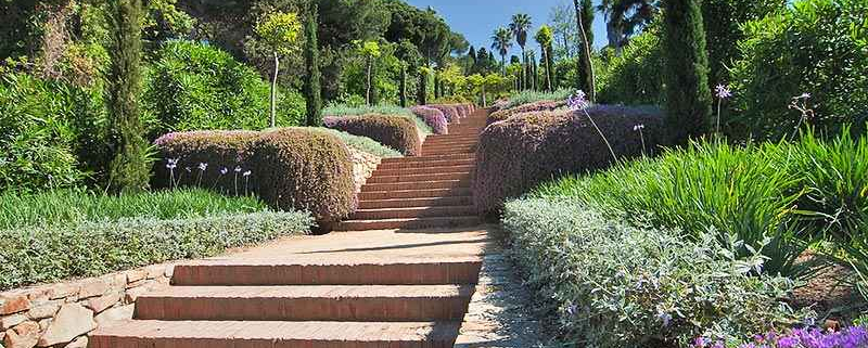 xerojardineria en Málaga y Marbella