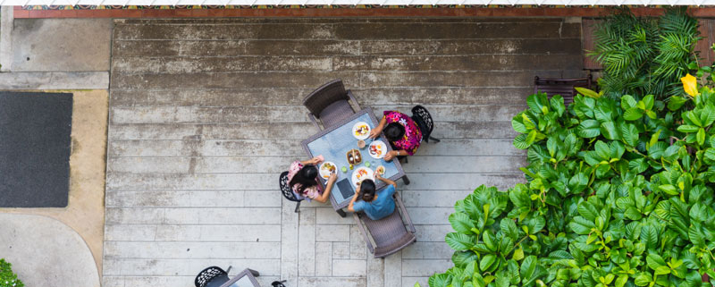 jardin de azotea; empresa de jardinería Málaga