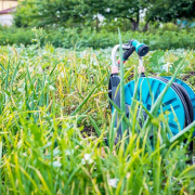 sistemas de riego para jardines
