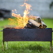 cenizas de madera para el jardín