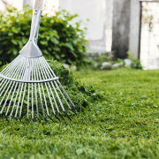 cuidado del jardín en invierno