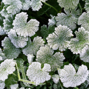 empresa jardineria marbella