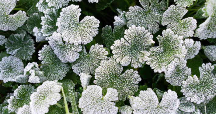 empresa jardineria marbella